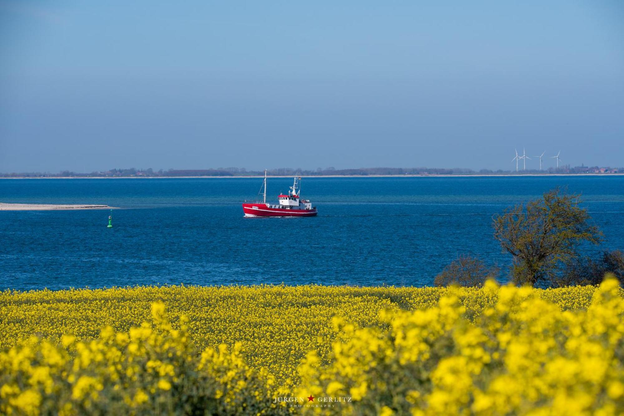 Ferienwohnung Brueckenblick Kappeln Zewnętrze zdjęcie
